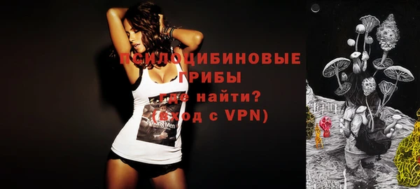 дживик Майский