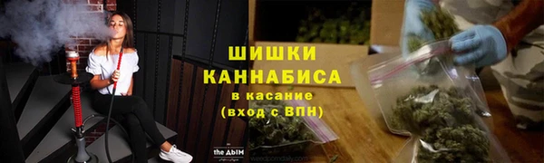 дживик Майский