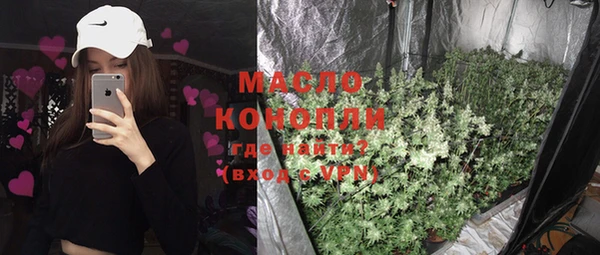 дживик Майский