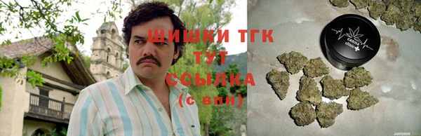 дживик Майский