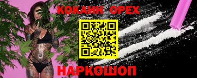 крисы Ипатово