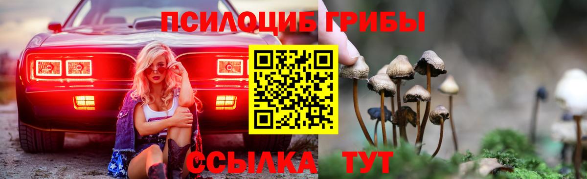 Галлюциногенные грибы мицелий  Вход с VPN  Тольятти 